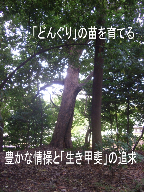 森づくり/人づくり