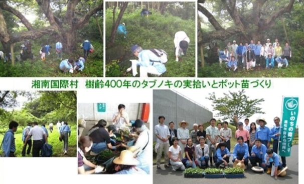 湘南国際村植樹計画
