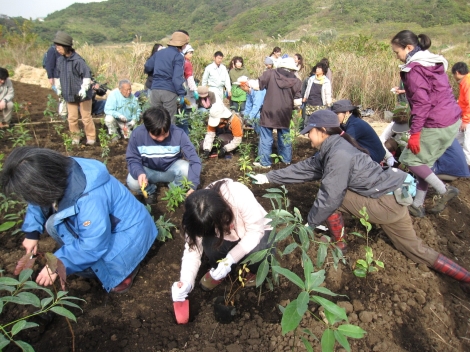 湘南国際村第2回めぐりの森植樹祭