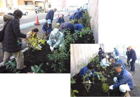 国道134号線千石河岸側道植樹