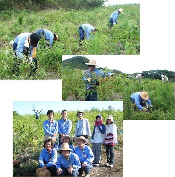 湘南国際村・除草作業