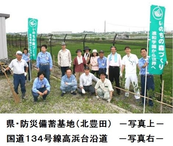 神奈川県防災備蓄基地(平塚市北豊田)植栽
