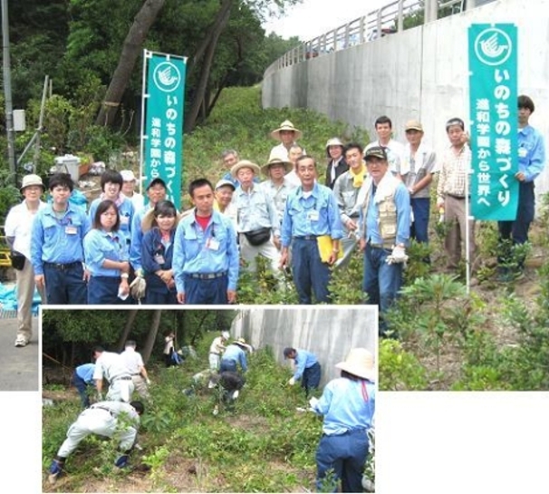国道134号線高浜台沿道 育樹作業