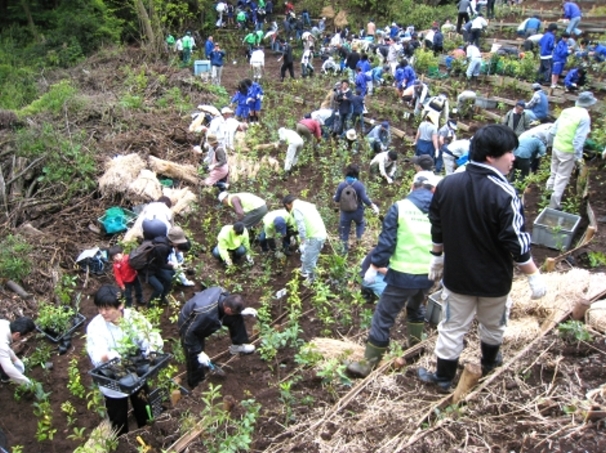 秦野市民一斉植樹大会