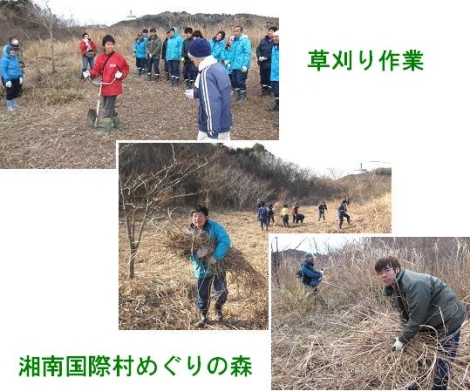 湘南国際村草刈り作業