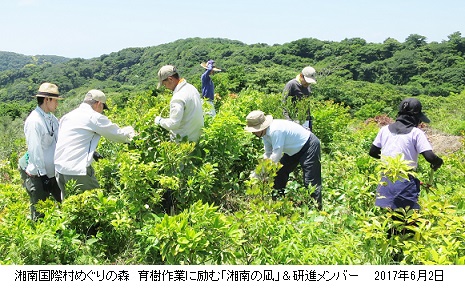 20170602湘南国際村育樹ｈｐIMG_9029.jpg