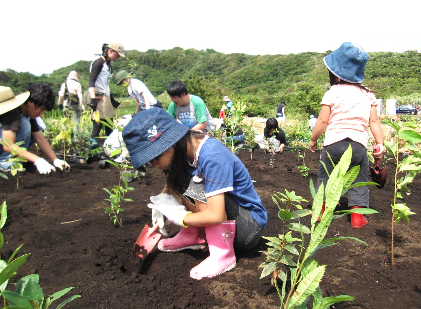 植樹作業２.jpg