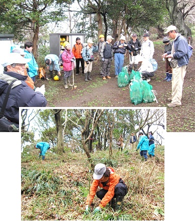 湘南平植樹hp（2012.03.24）IMG_3429.jpg