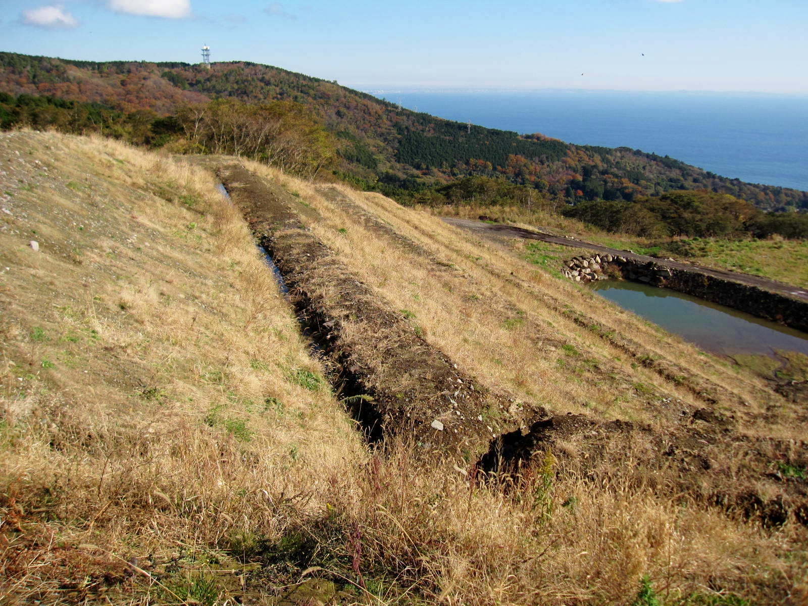 真鶴町植樹予定地（2011.12.10）.jpg