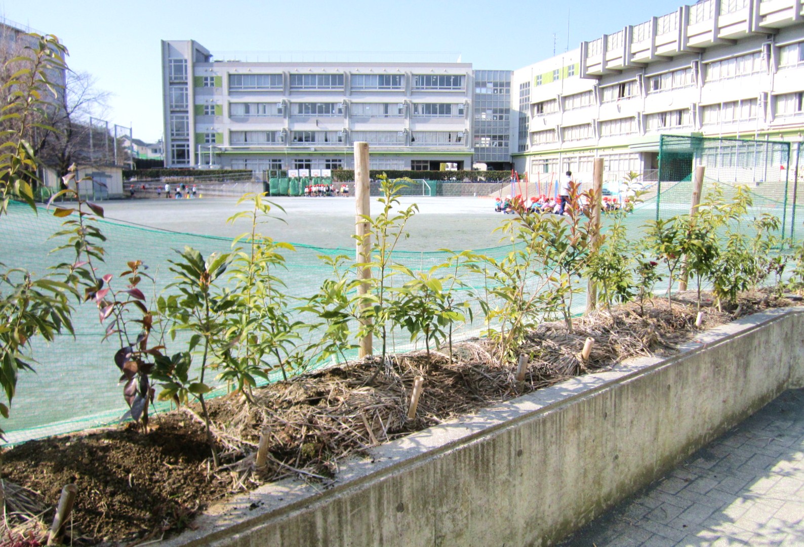 西生田小学校.jpg