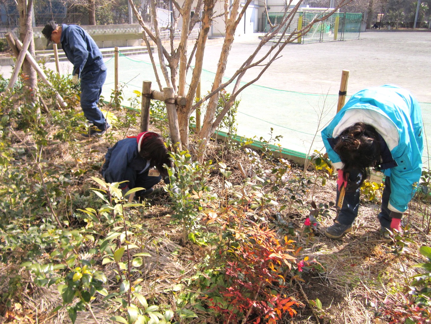 除草作業１.jpg