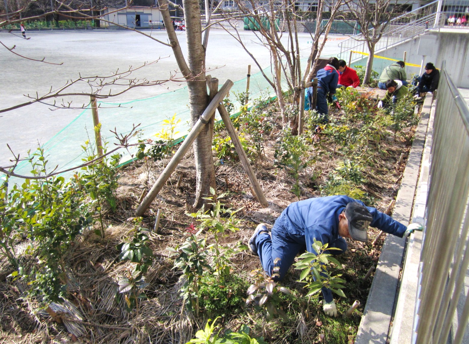 除草作業２.jpg