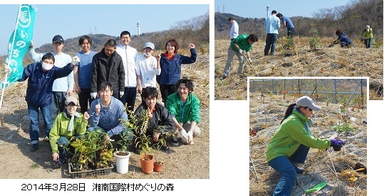 20140328湘南国際村補植・朝日新聞hp.jpg