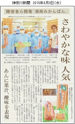 20150603神奈川新聞ｈｐ1／湘南みかんぱん.jpg