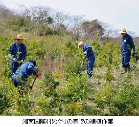 20160318進和学園補植ｈｐIMG_4252.jpg