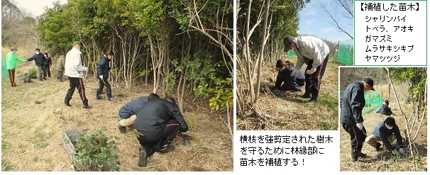20230303湘南国際村補植hp２.jpg