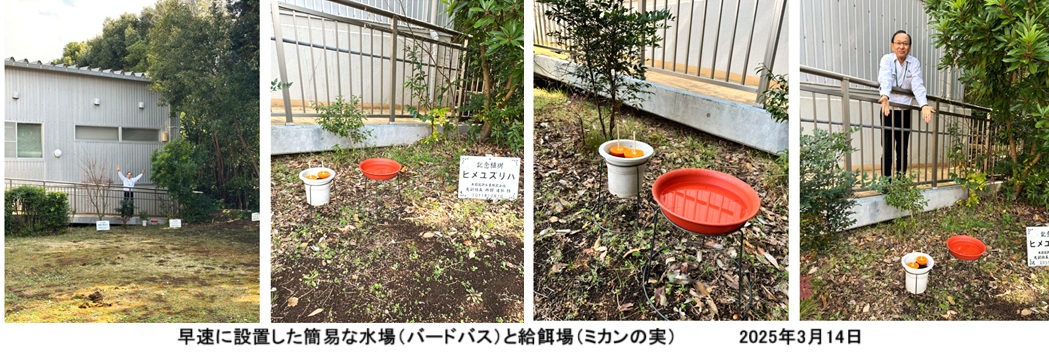 20250314ルネ野鳥保全（水場・給餌）.jpg