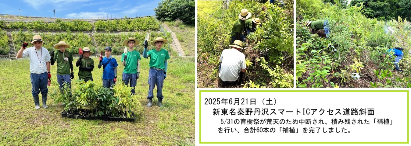 20250621新東名秦野丹沢補植ｈｐIMG_5220.jpg