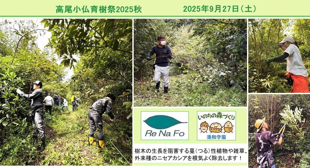 202509高尾小仏育樹hp_8179.jpg