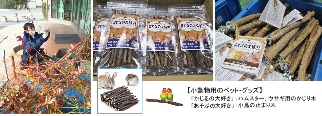 BB剪定hp2IMG__173115.jpg