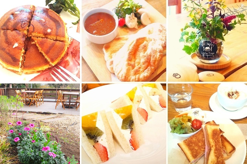 Shonan Photo album18（2025）.jpg
