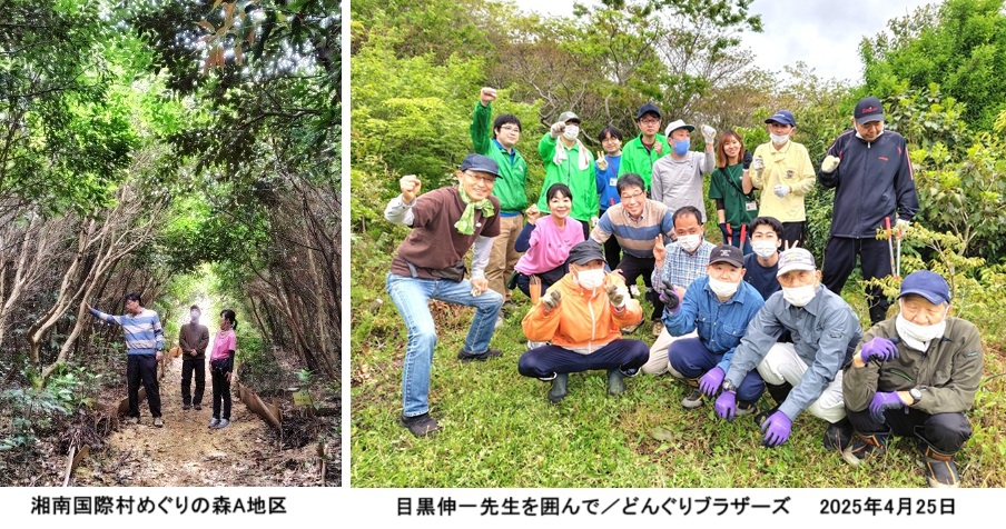 ご視察hp15231873.jpg