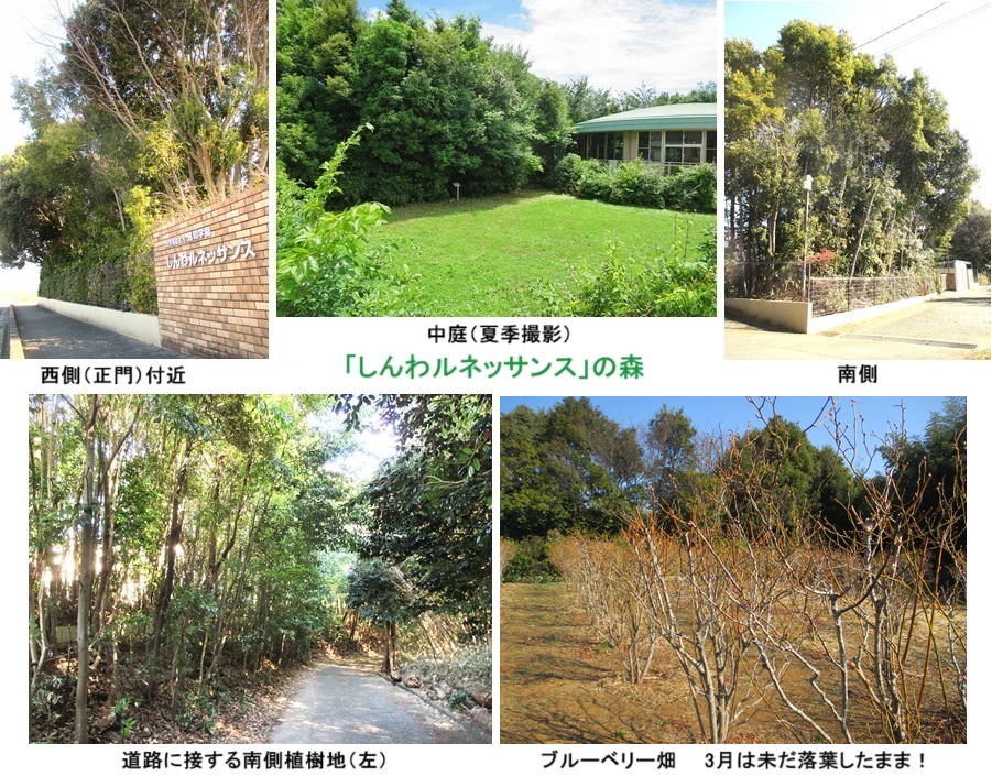 しんわルネッサンスの森ｈｐIMG_3172.jpg