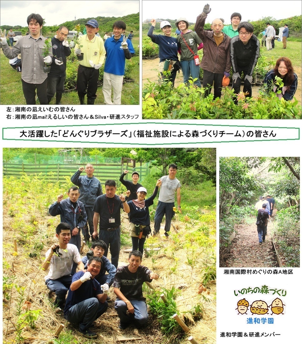 どんぐりブラザーズ202505hpIMG_3464.jpg