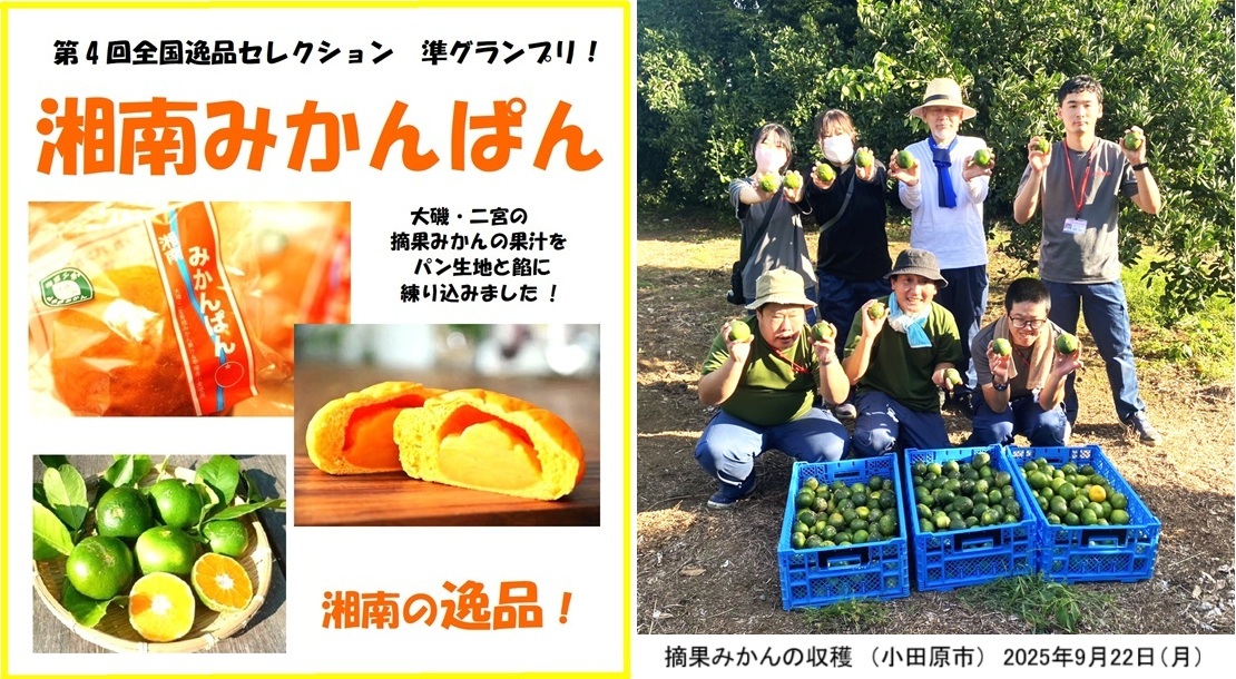 みかんぱん用POP.hp２jpg.jpg