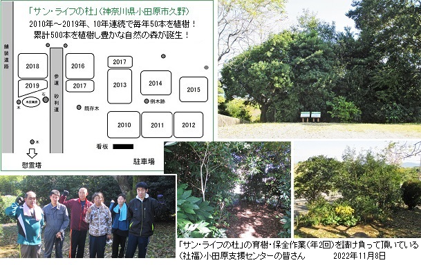 サン・ライフの杜植樹地見取図hpIMG_5523.jpg