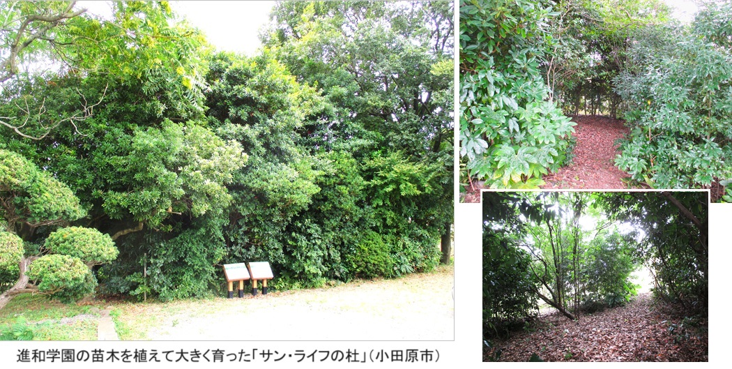 サン・ライフの森ｈｐIMG_7792.jpg