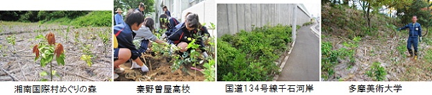 サン・ライフ植樹事案ｈｐ.jpg