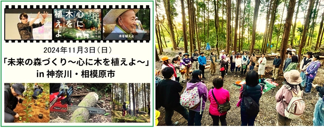 タイトル6428096.jpg