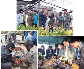 ハウス見学hpIMG_0468.jpg