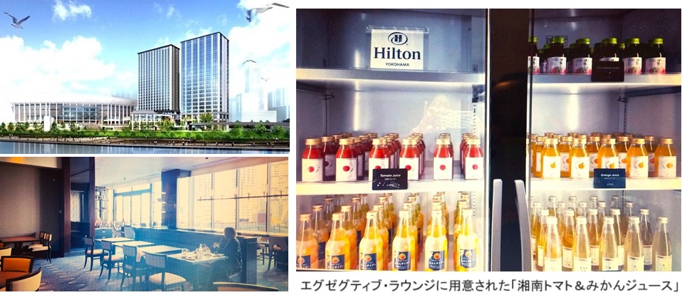 ヒルトン横浜hpIMG_20231119_192504.jpg