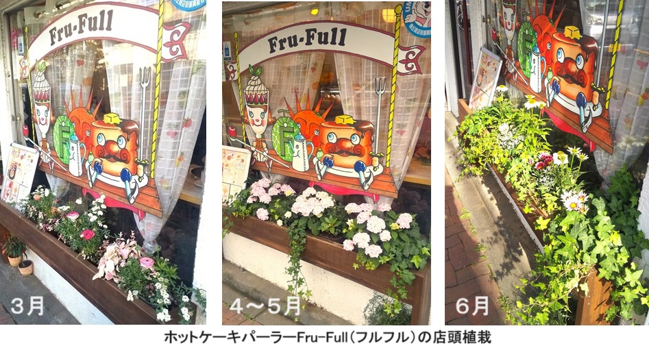 フルフル植栽ｈｐIMG_20240210_150609.jpg