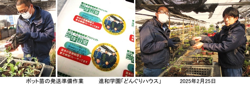 ポット苗hpIMG_2760.jpg