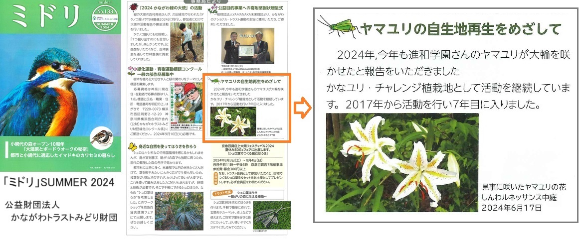 ミドリｈｐ202407290001.jpg