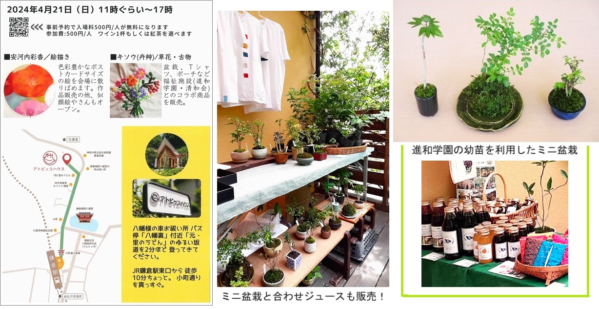 ミニ盆栽hpIMG_9690.jpg