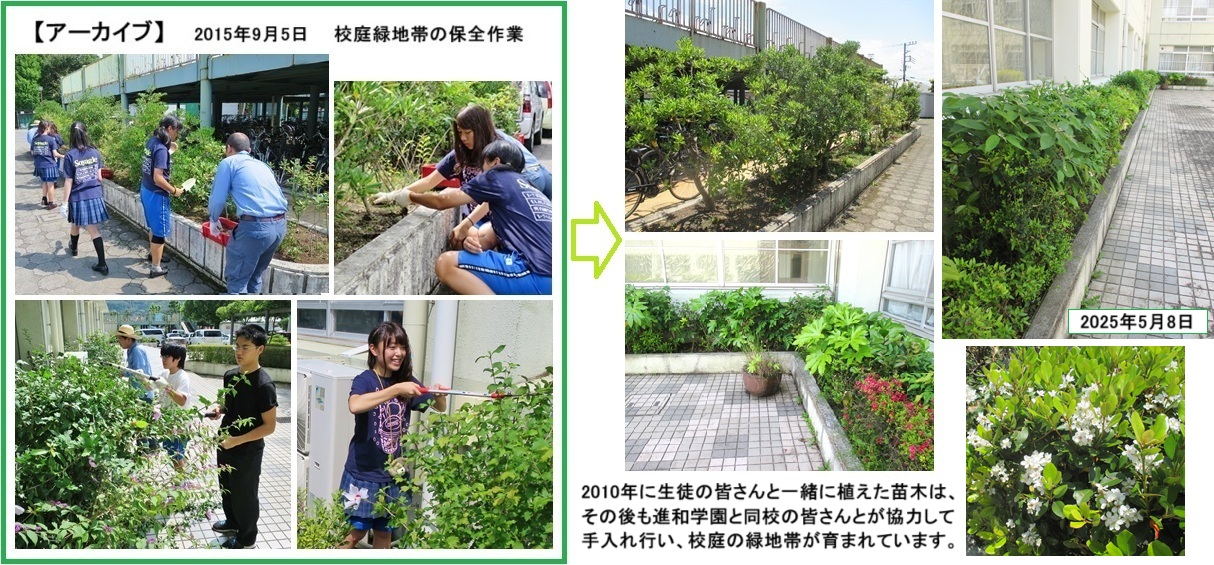 ㉒20150905秦野曽屋高校育樹IMG_2628.jpg