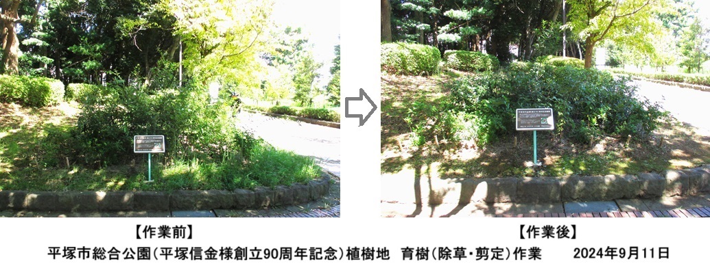 作業前hp2IMG_0813.jpg