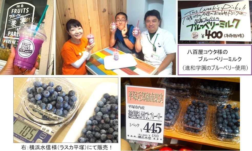 八百屋コウタｈｐIMG_20230724_145640.jpg