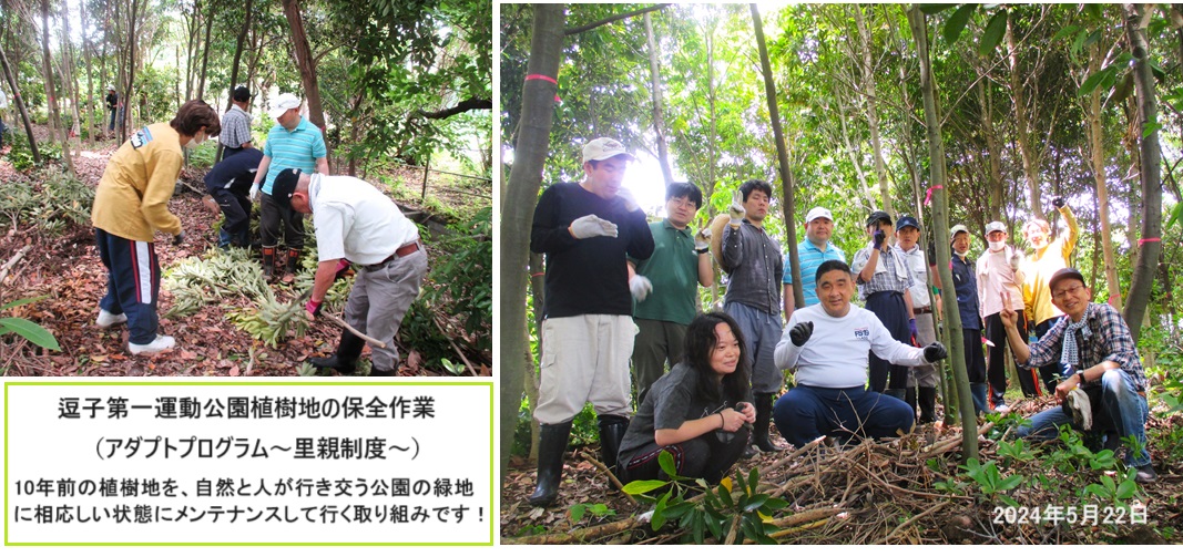 剪定hpIMG_0065.jpg