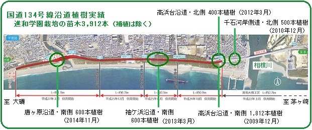 国道134号線地図201503.jpg