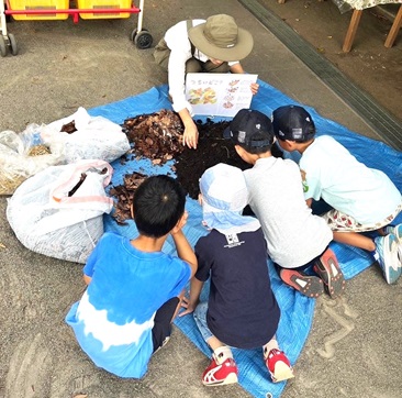 土はどこ？292694.jpg