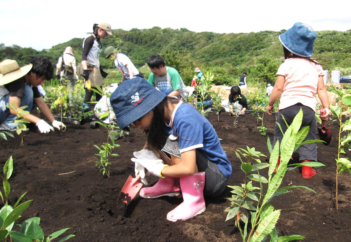 子供植樹.jpg