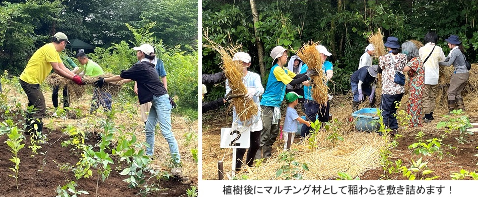 宮脇メソッド植樹祭hp2IMG_8429.jpg