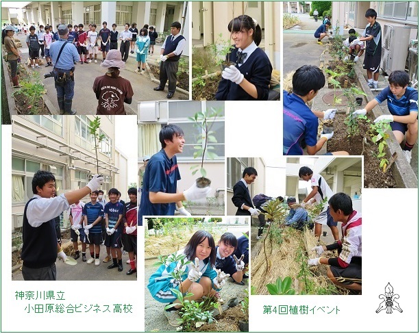 小田原総合ビジネス高校植樹hpIMG_2744.jpg