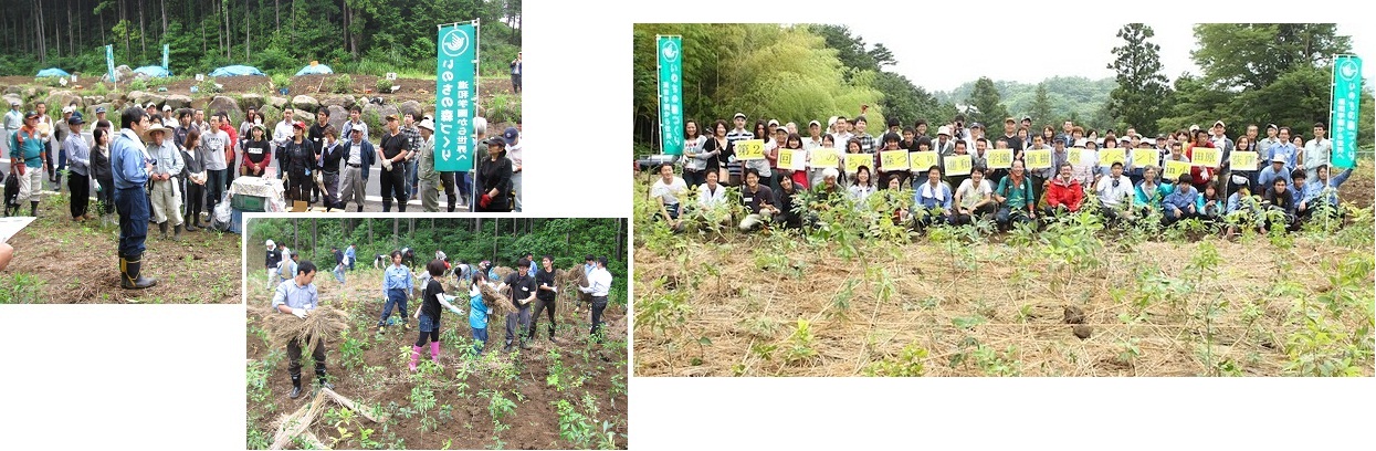 小田原荻窪植樹祭.jpg