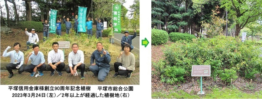 平塚総合公園植樹地HP250426.jpg